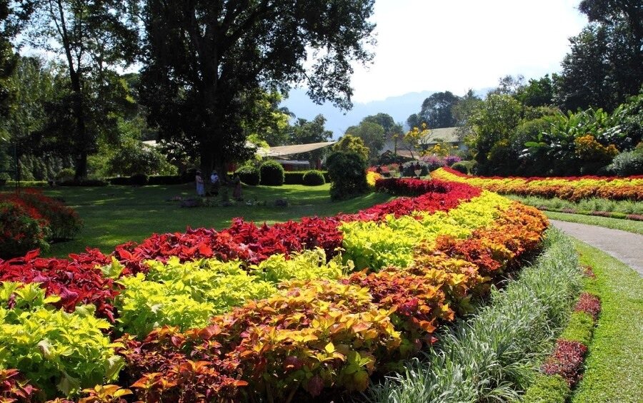 Королевский Ботанический сад