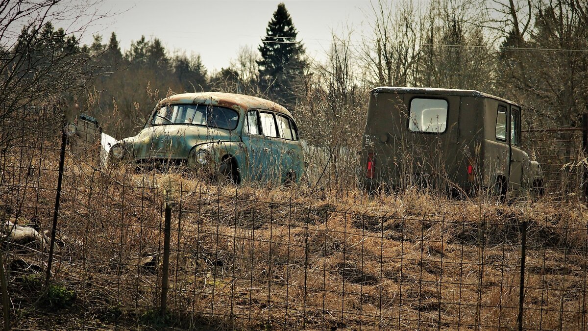 Фото автора