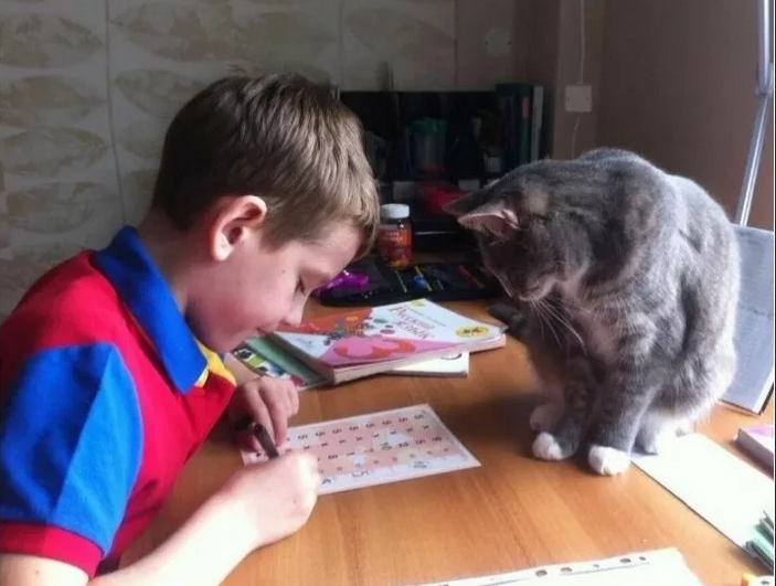 Фото с сервера Яндекс.Картинки