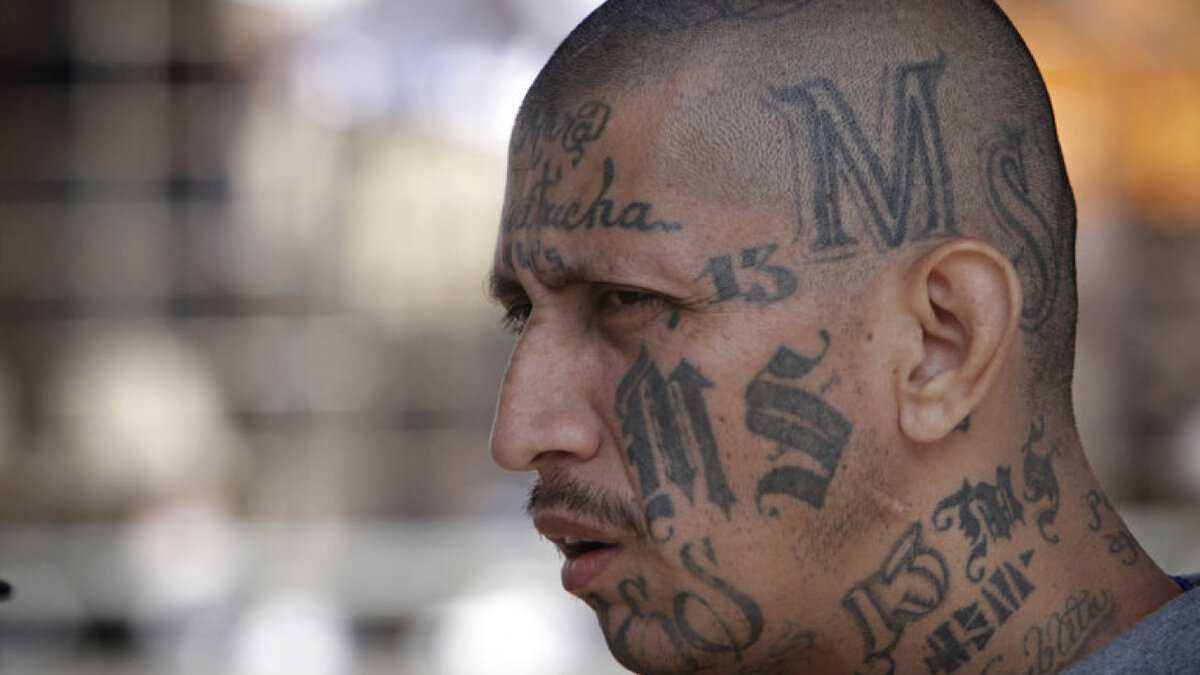 Идеальный пример.