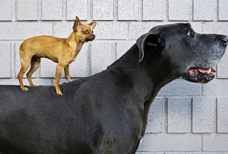 Способы сокращения размера файловой базы 1С:Предприятие 8.3
Источник фото: https://artemvm.info/