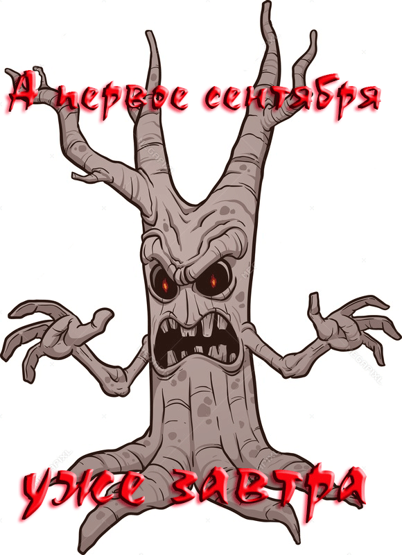 Готовы ?