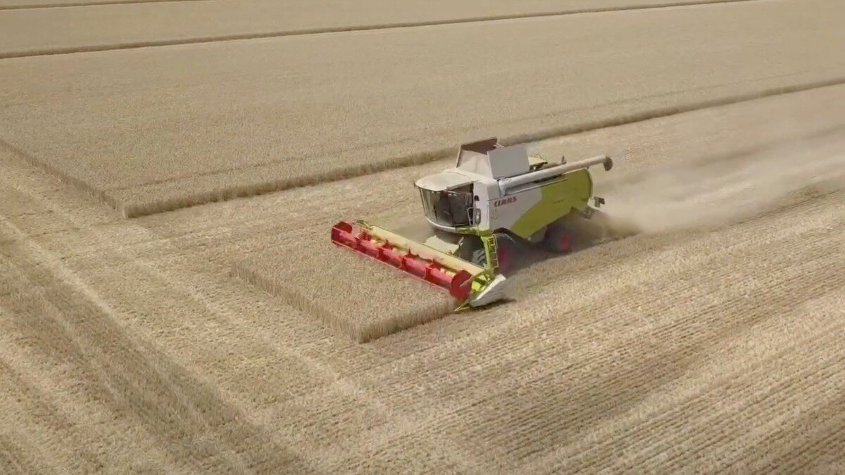 Фото: Иван Ксыкин. Уборка зерновых в ООО «АГРОСОЮЗ»