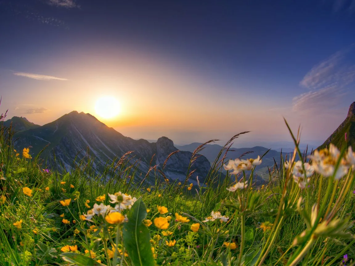 Картинка из открытых источников.