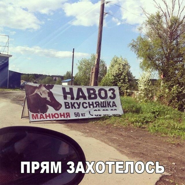 http://anub.ru