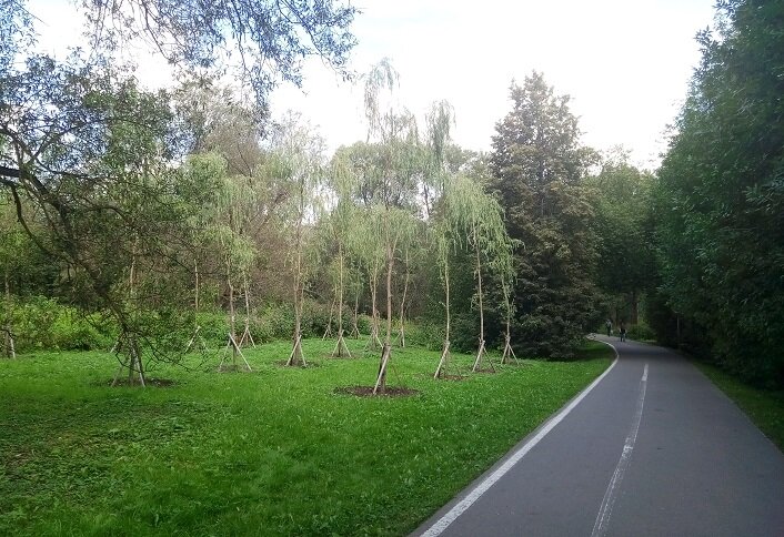 Из моего архива