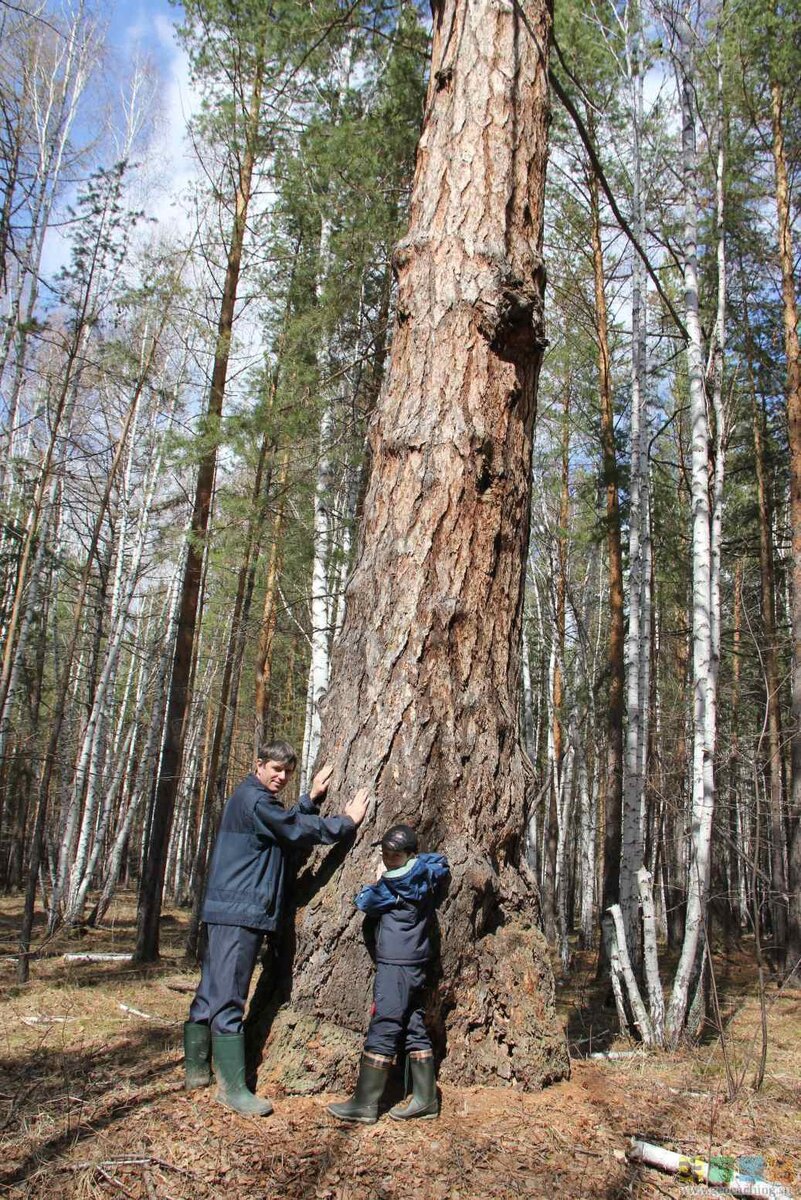 озеро карагайское верхнеуральского района