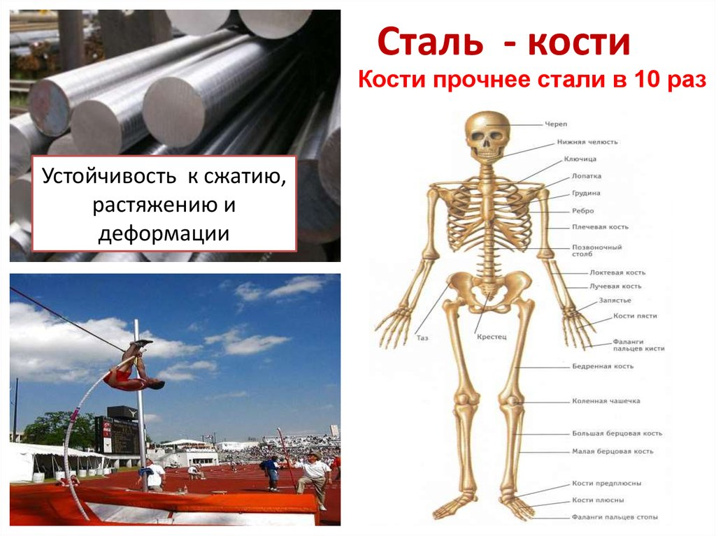 Стать прочнее