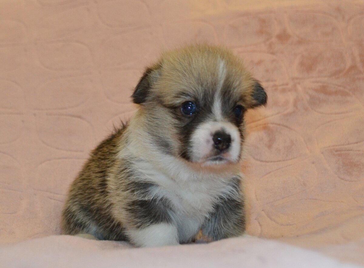 Тут мне 2,5 недели