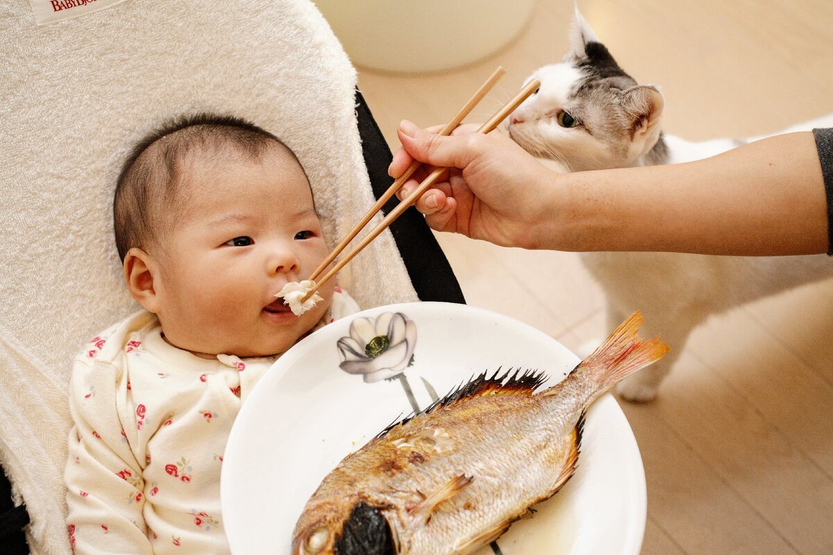 Фото взято из Яндекс.Картинок