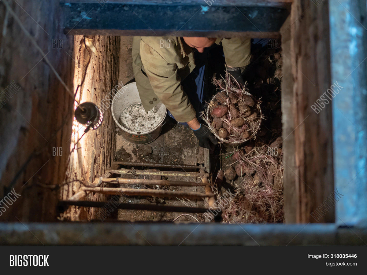 Из бесплатных ресурсов Интернета.