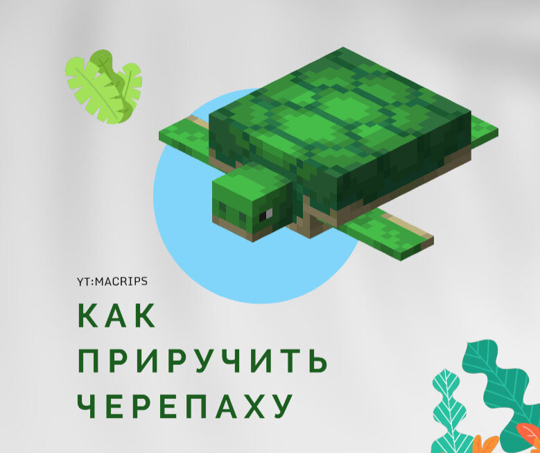 как приручить черепаху в майнкрафте