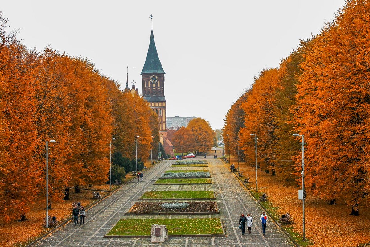 калининград в октябре фото