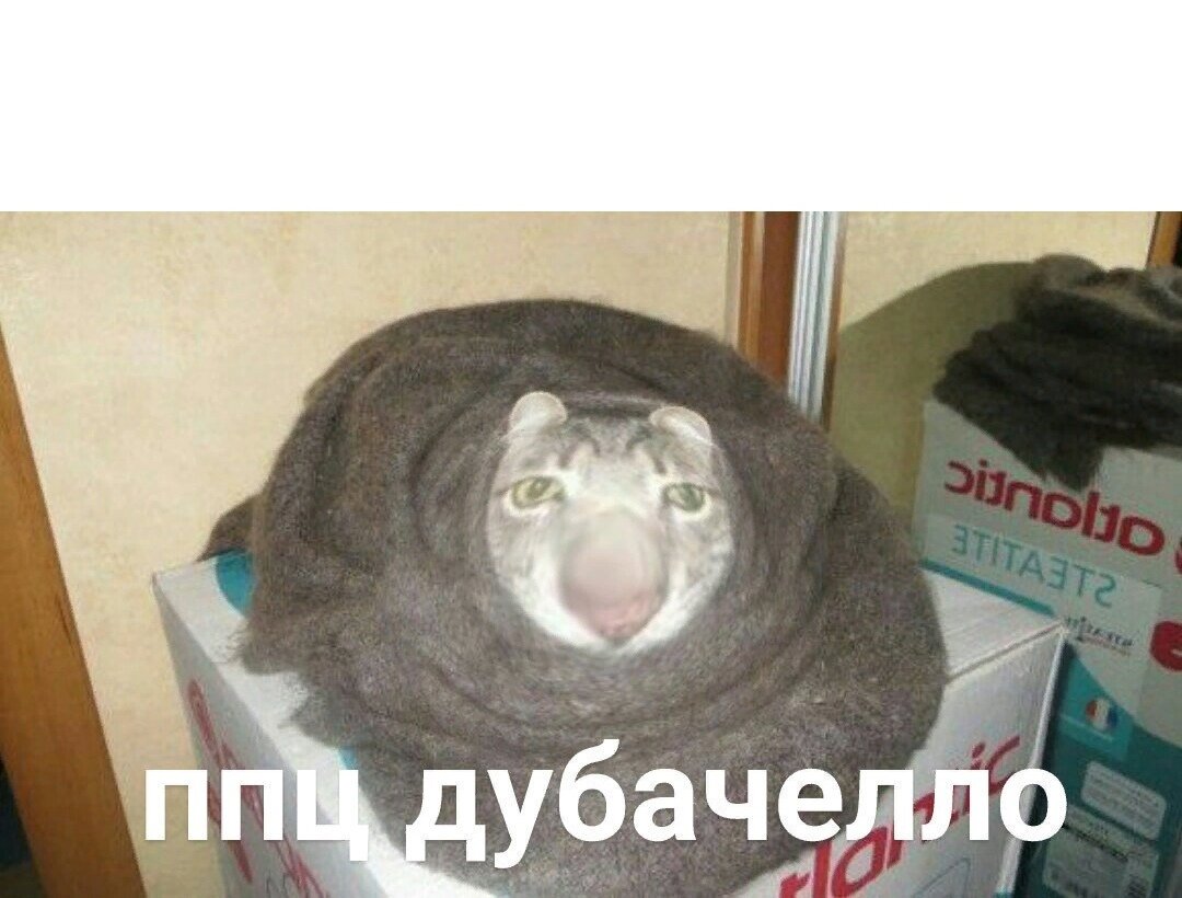 Холодно
