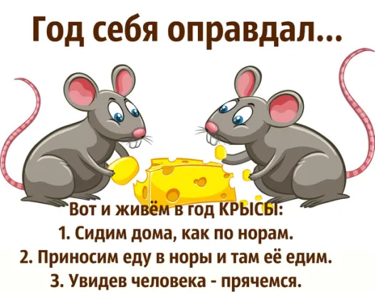Про карантин по Ковид в 2020 год Крысы