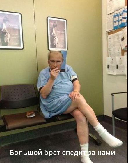 Яндекс.Картинки, свободный доступ