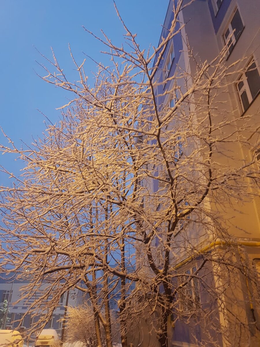 Фото из личного архива. г. Казань 