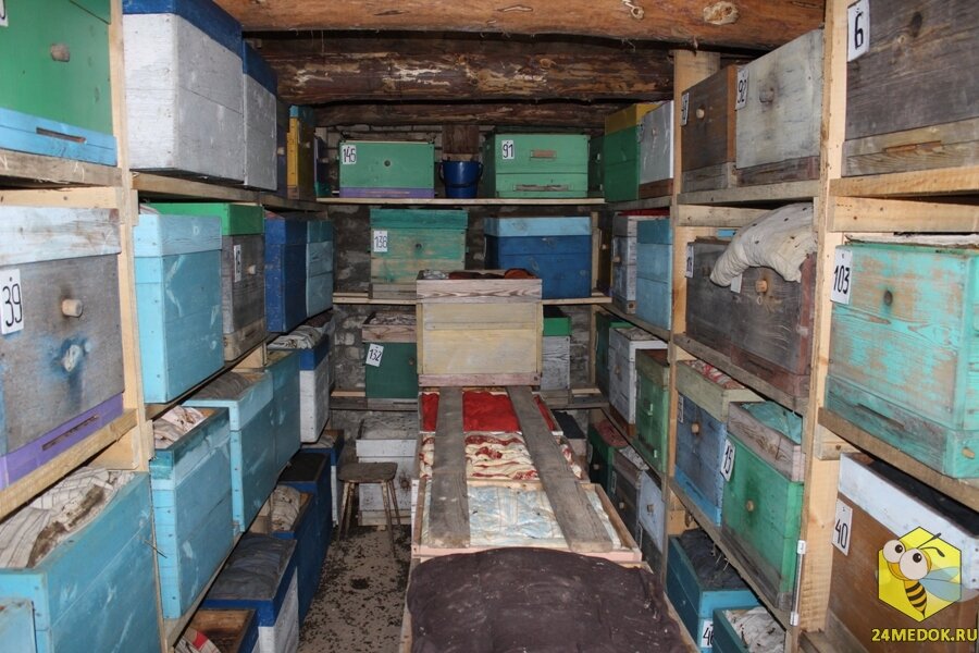 подземный зимовник на 50 пчелосемей