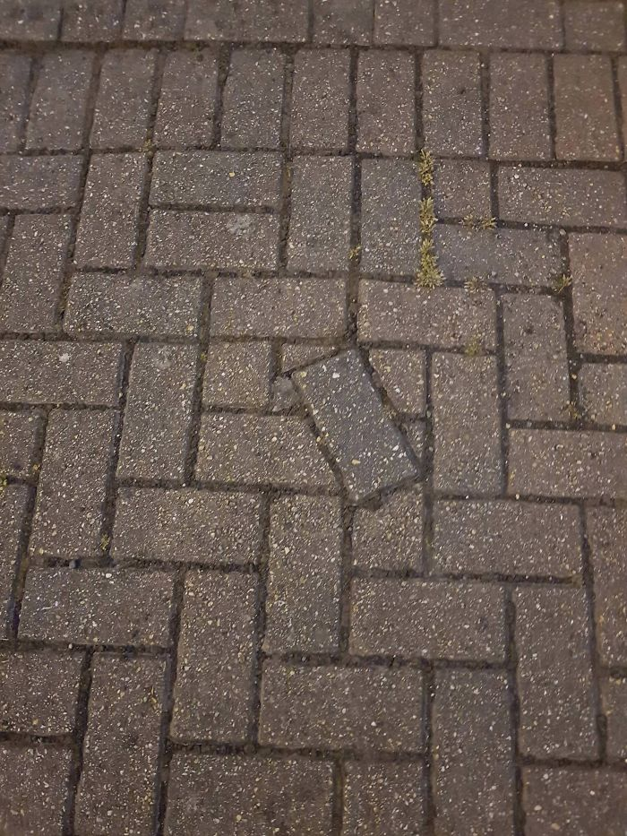 Фото: boredpanda.com