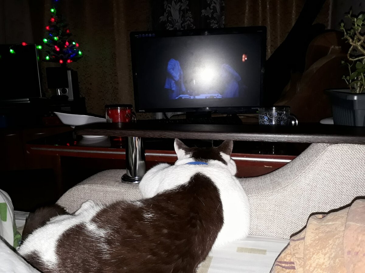 Критик Тимофей Ыгорыч.