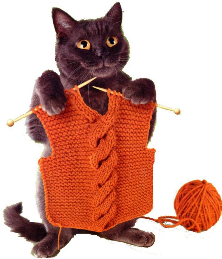 Фото из интернета