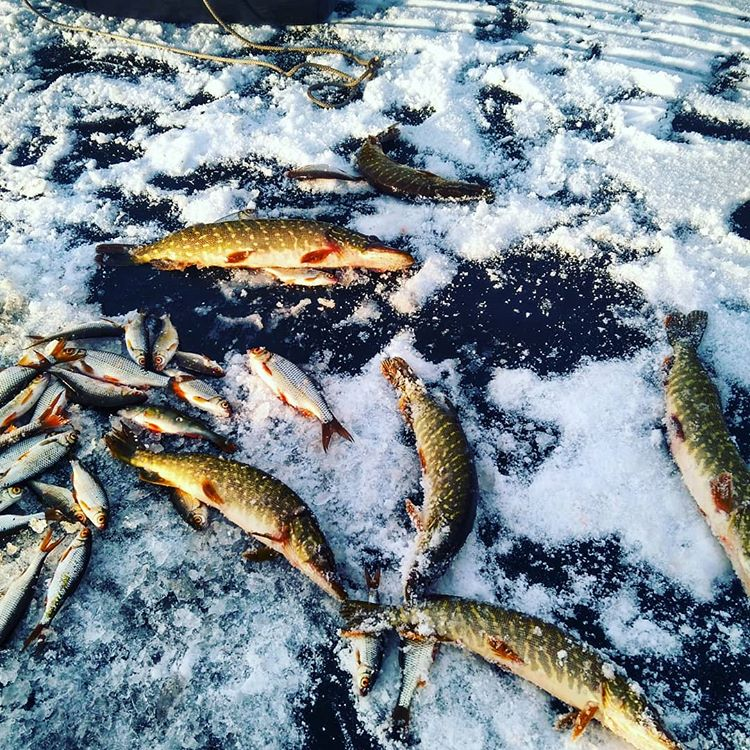 Уральский улов