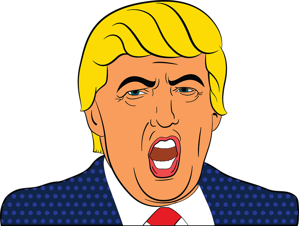Дональд Трамп. Картинки Гугл.