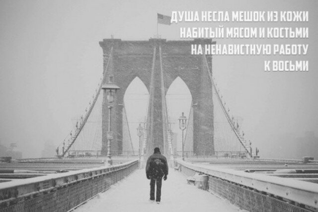 Фото из открытых источников в интернете