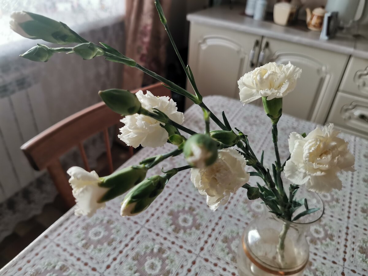 Я глушила запах, который натягивало домой из подъезда, и осведителями, и цветами