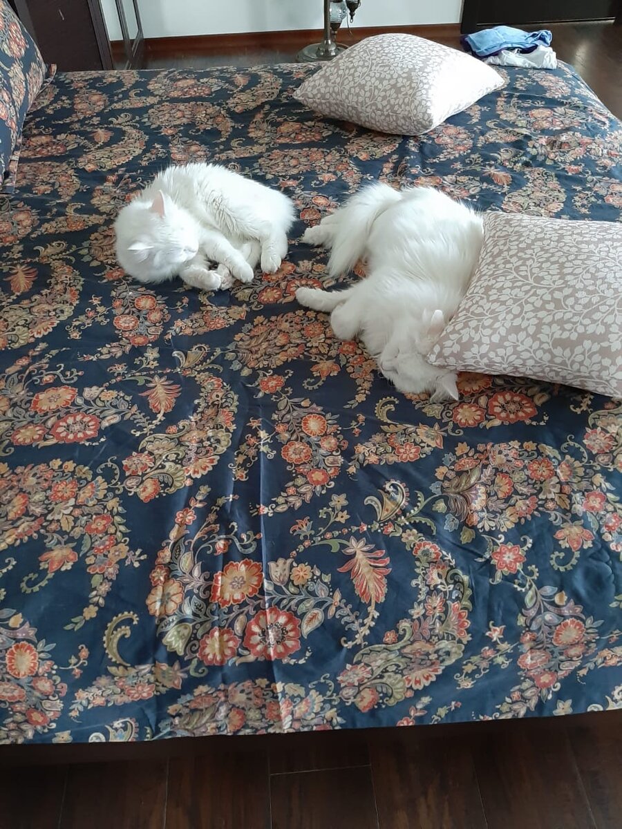 Угадаете кто есть кто? :)