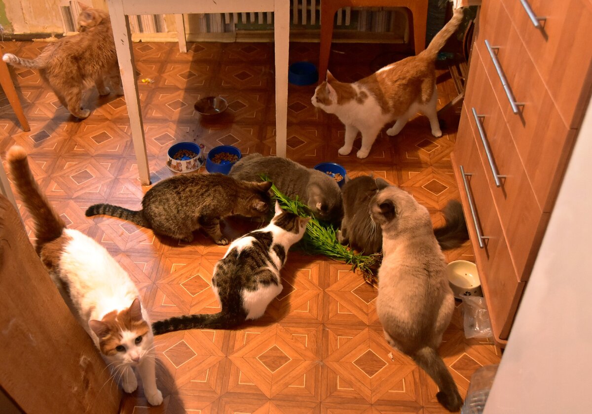 рабочий момент