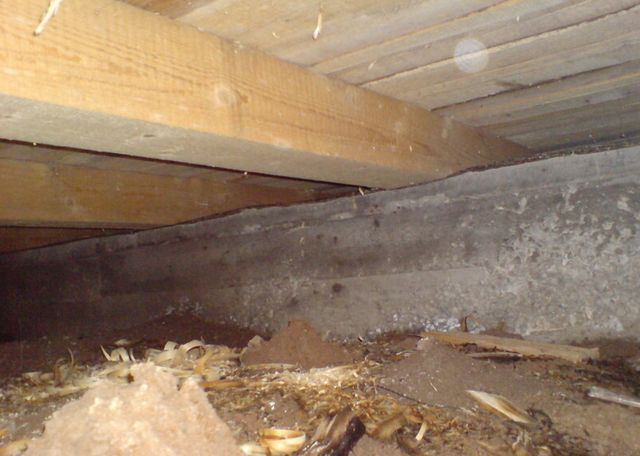 Фото снизу не утепленных полов  