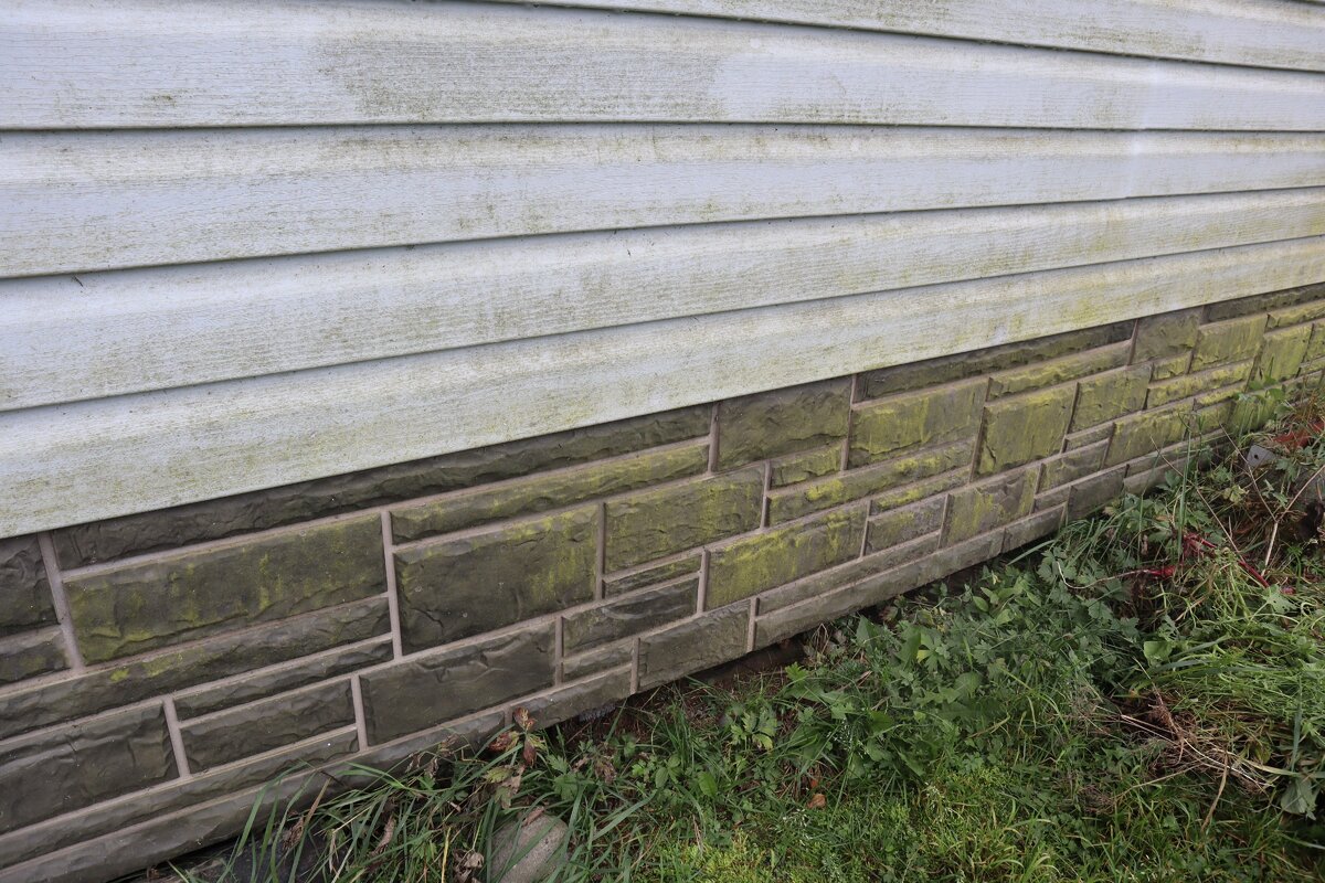 сайдинг с плесенью