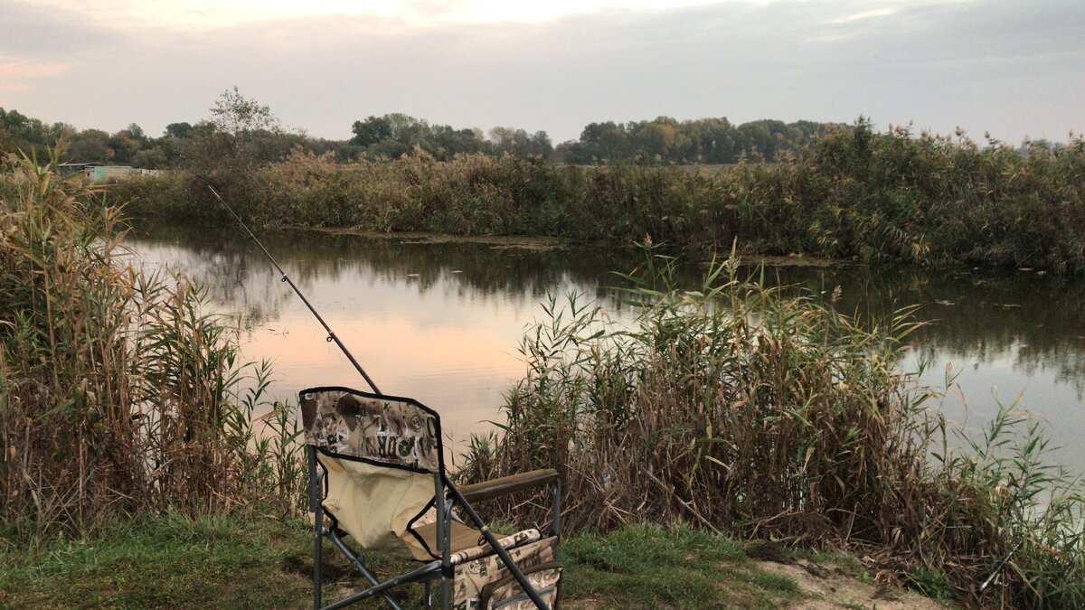Да, может тут была щучка, но место не по душе. Не на такую рыбалку я ехал...