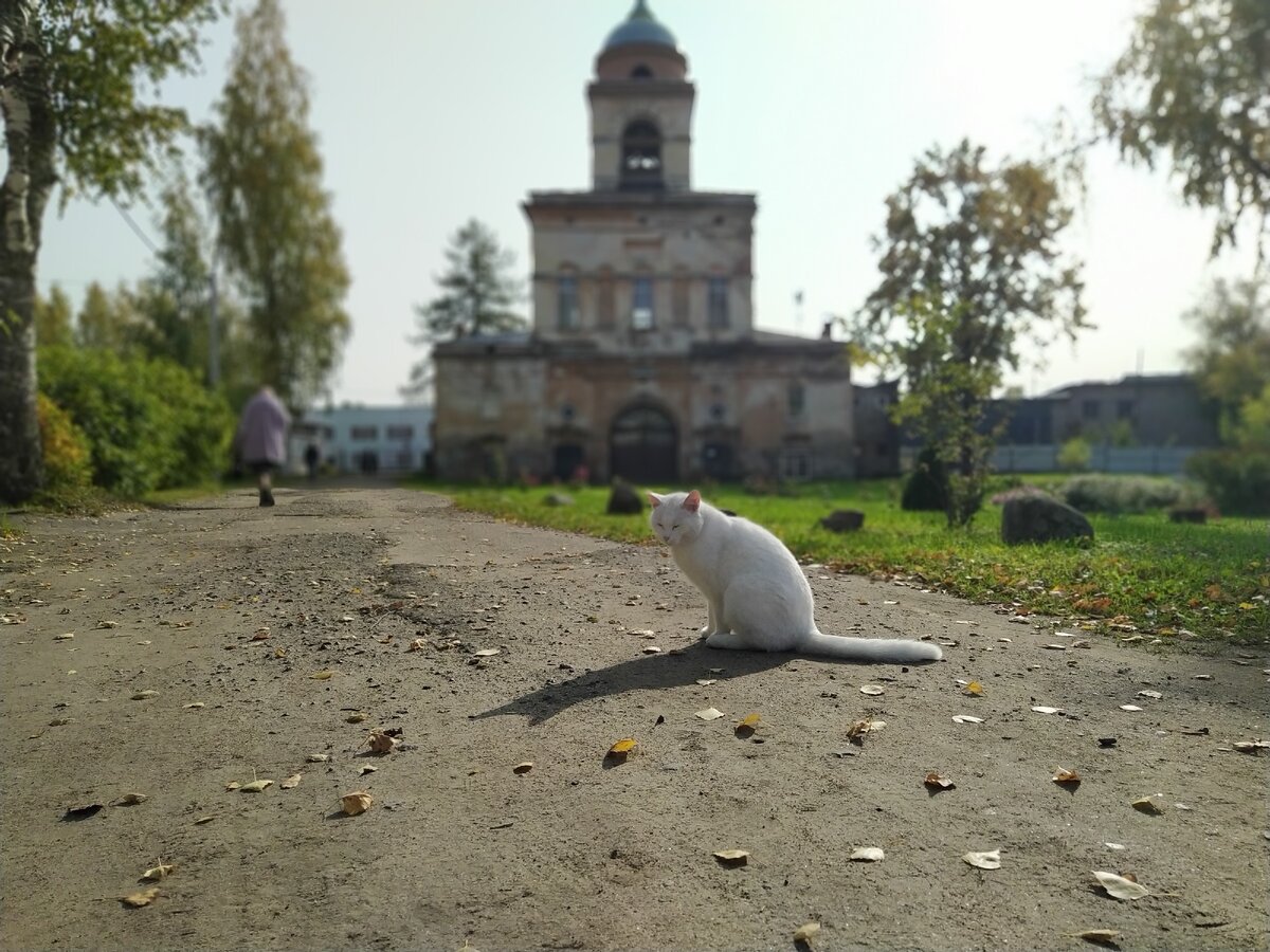 Надвратный храм и колокольня Введенского монастыря.