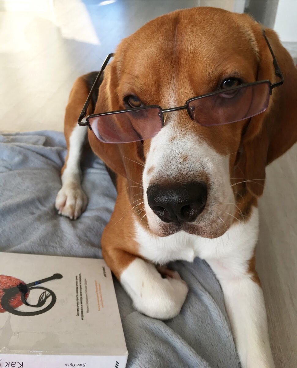 У нас даже Рок читает на досуге, не то, что некоторые😎