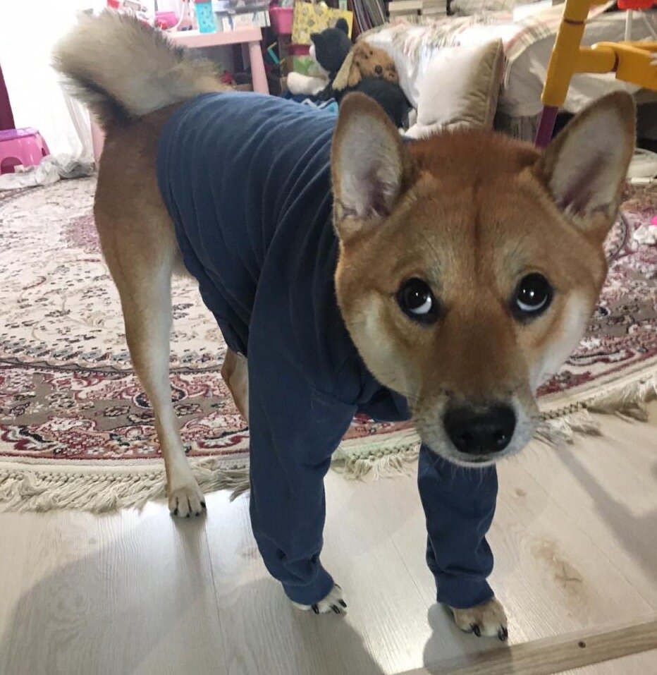 Мать, ты сдурела?