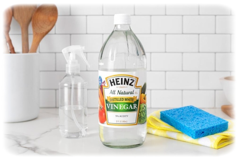 Фото из открытого источника