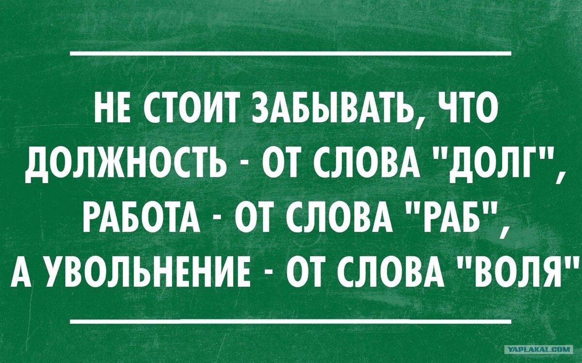 Несколько слов о работе