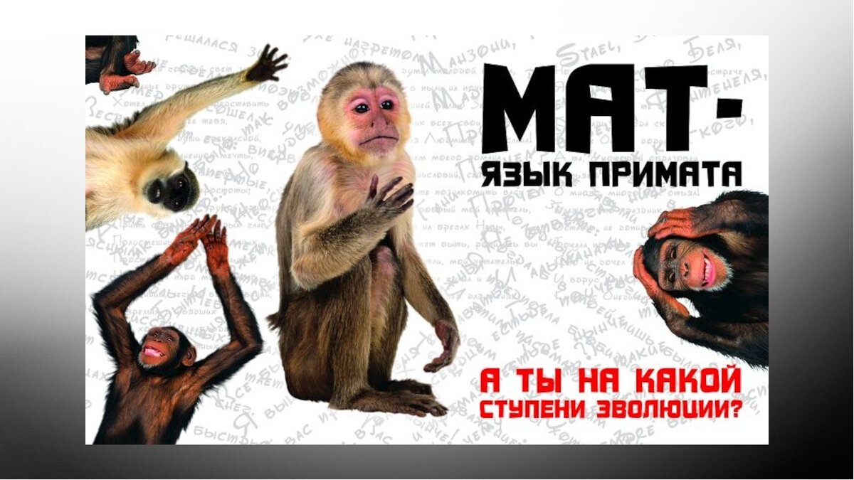 Мат не наш формат картинки