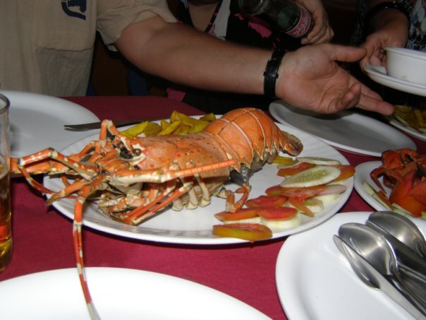 Морские гады