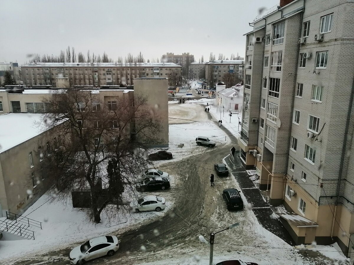 Воронеж, 25 февраля, минус 10.