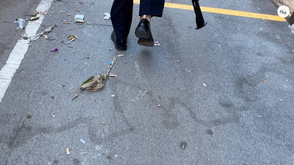 Шла следом до остановки