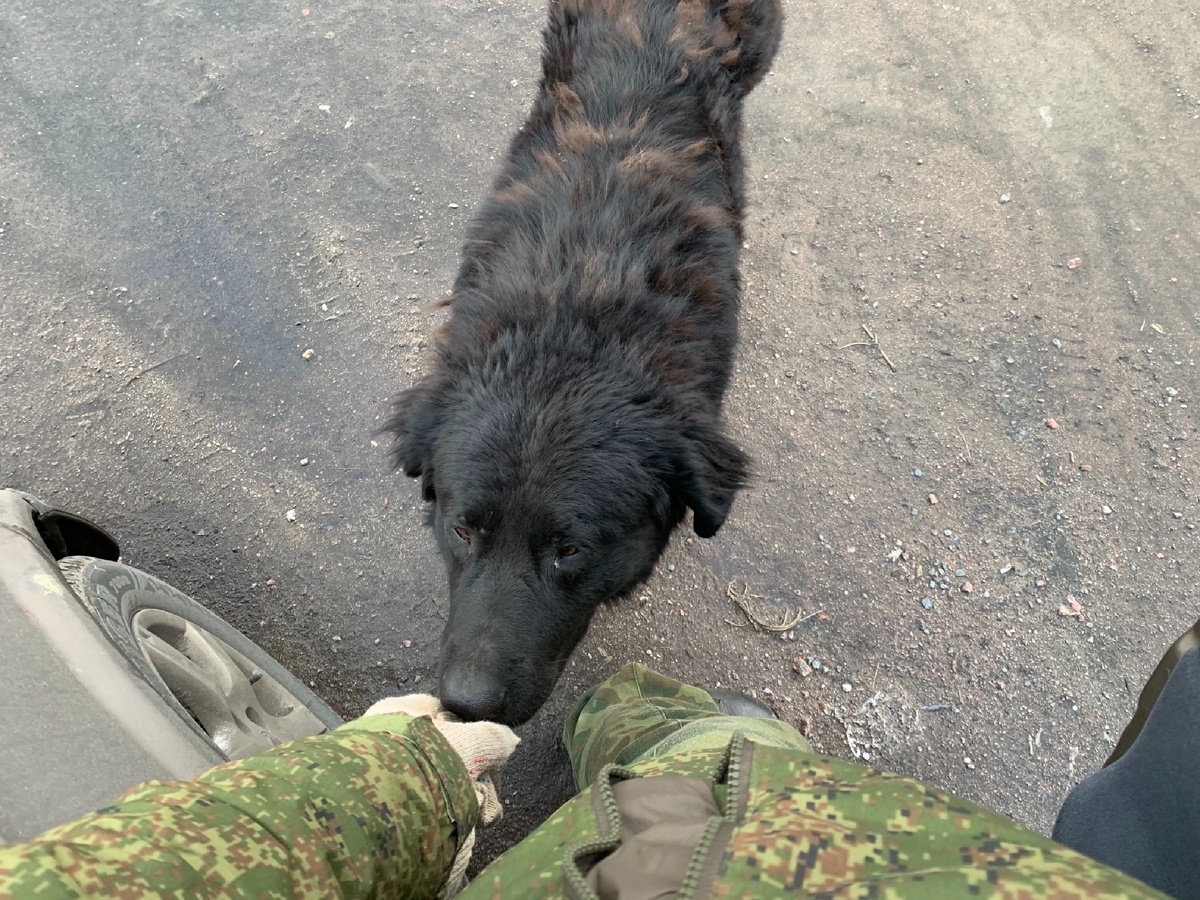 Такой красавец 