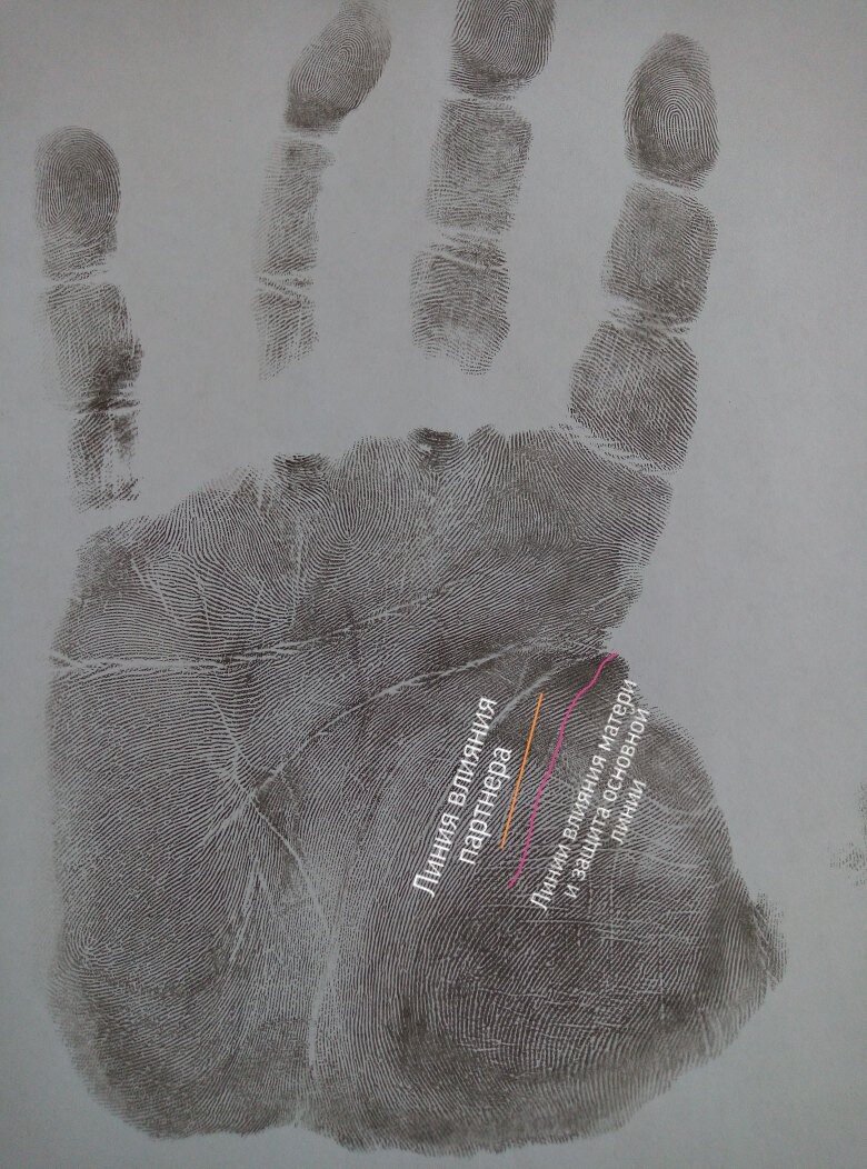 Линии влияния