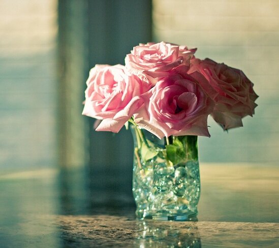 фото из свободных источников сети