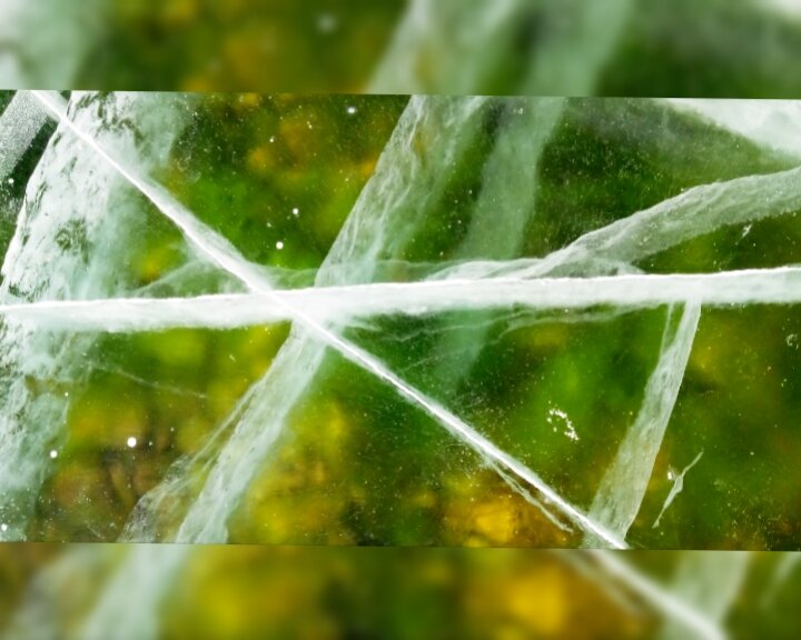 Лед Байкала такой прозрачный, что водоросли продолжают колоситься даже зимой, и их можно увидеть. Фото из личного архива. 