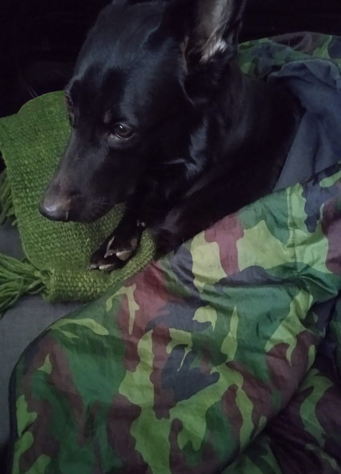 Багира Владимировна грустят, наше время © Дом Саарлоса