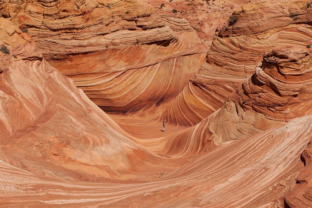 Источник: Google картинки