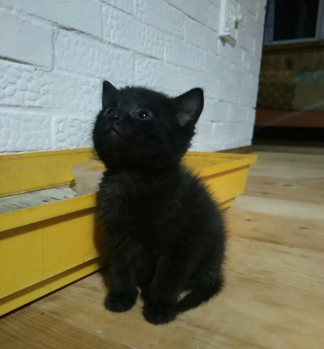 Первое фото